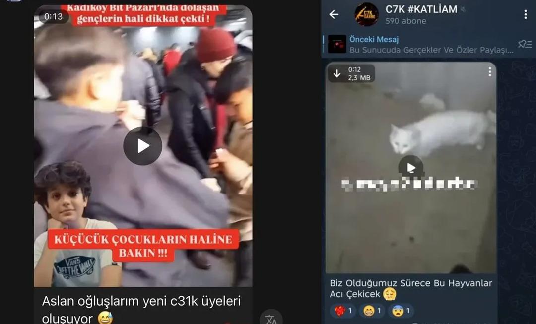 Ulusal ve dini değerlere hakaret ediyorlar ve insanları tehdit ediyorlar! Ayrıca Devlet Başkanı var ... Telegram'daki suç deliği derinleşiyor 3
